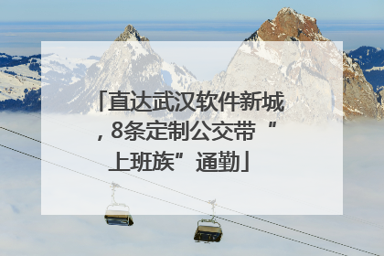 直达武汉软件新城，8条定制公交带“上班族”通勤