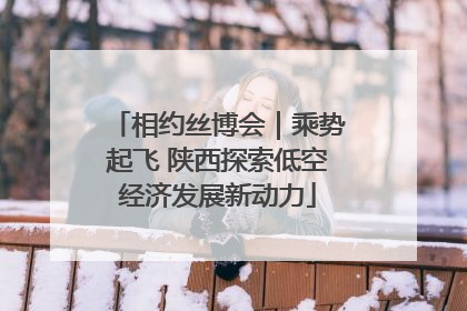相约丝博会｜乘势起飞 陕西探索低空经济发展新动力