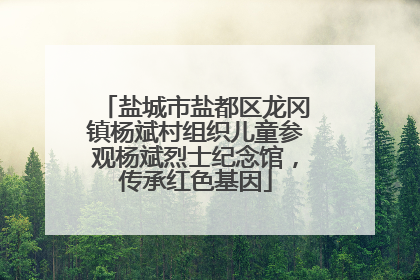 盐城市盐都区龙冈镇杨斌村组织儿童参观杨斌烈士纪念馆，传承红色基因