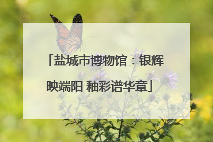盐城市博物馆：银辉映端阳 釉彩谱华章