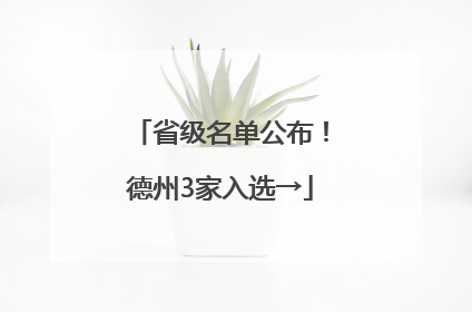省级名单公布！德州3家入选→