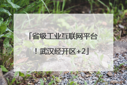 省级工业互联网平台！武汉经开区+2