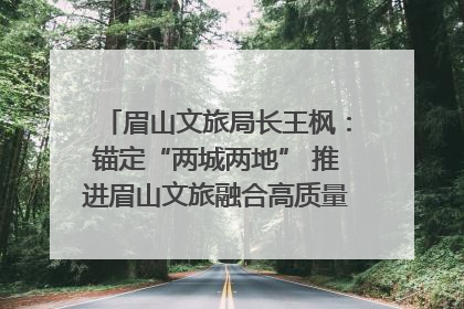 眉山文旅局长王枫：锚定“两城两地” 推进眉山文旅融合高质量发展｜文旅局长说
