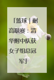 篮球｜耐高联赛：清华附中队获女子组总冠军