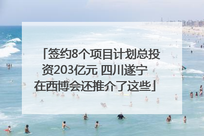 签约8个项目计划总投资203亿元 四川遂宁在西博会还推介了这些