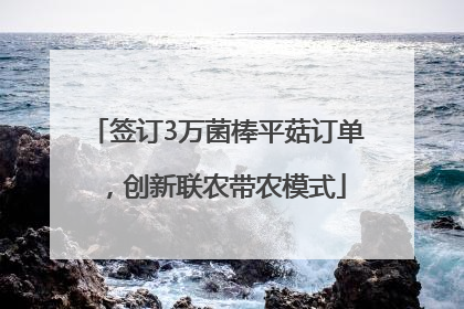 签订3万菌棒平菇订单，创新联农带农模式