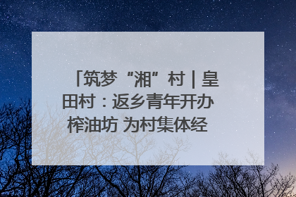筑梦“湘”村｜皇田村：返乡青年开办榨油坊 为村集体经济“加油”