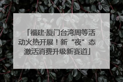 福建·厦门台湾周等活动火热开展！新“夜”态激活消费升级新赛道