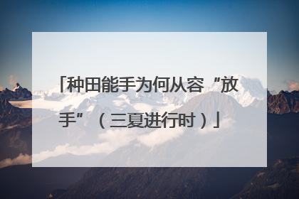 种田能手为何从容“放手”（三夏进行时）