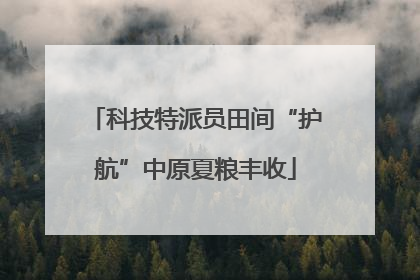 科技特派员田间“护航”中原夏粮丰收