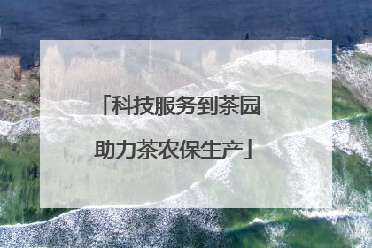 科技服务到茶园 助力茶农保生产