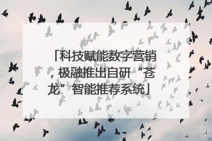 科技赋能数字营销，极融推出自研“苍龙”智能推荐系统