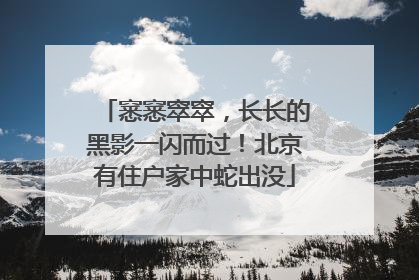 窸窸窣窣，长长的黑影一闪而过！北京有住户家中蛇出没