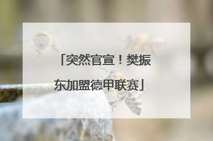 突然官宣！樊振东加盟德甲联赛