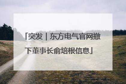 突发｜东方电气官网撤下董事长俞培根信息