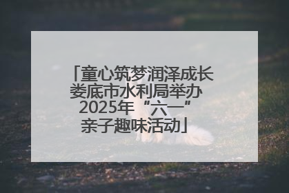 童心筑梦润泽成长 娄底市水利局举办2025年“六一”亲子趣味活动