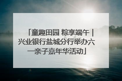 童趣田园 粽享端午｜兴业银行盐城分行举办六一亲子嘉年华活动