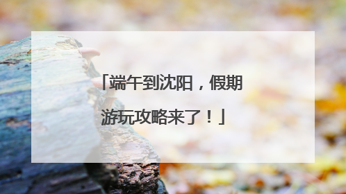 端午到沈阳，假期游玩攻略来了！