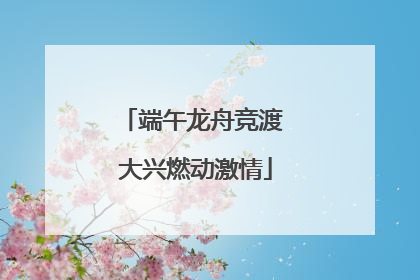 端午龙舟竞渡 大兴燃动激情
