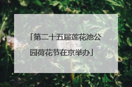 第二十五届莲花池公园荷花节在京举办
