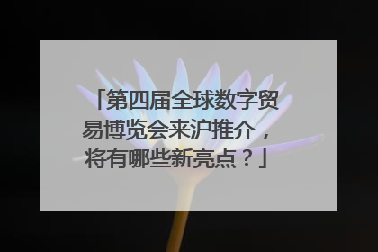 第四届全球数字贸易博览会来沪推介，将有哪些新亮点？