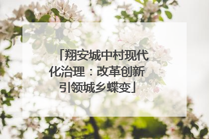 翔安城中村现代化治理：改革创新引领城乡蝶变