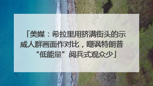 美媒：希拉里用挤满街头的示威人群画面作对比，嘲讽特朗普“低能量”阅兵式观众少