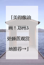 美得像油画！郑州3处睡莲观赏地推荐→