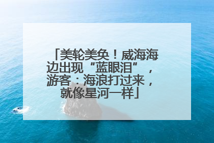 美轮美奂！威海海边出现“蓝眼泪”，游客：海浪打过来，就像星河一样