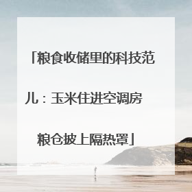 粮食收储里的科技范儿：玉米住进空调房 粮仓披上隔热罩