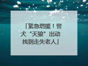 紧急增援！警犬“天狼”出动找到走失老人