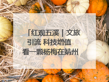 红观五溪｜文旅引流 科技增值 看一颗杨梅在靖州的“商业觉醒”