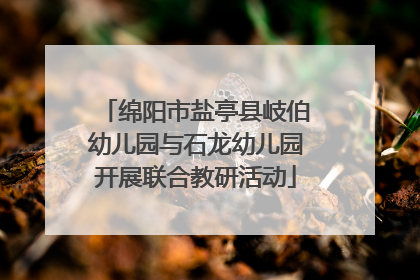 绵阳市盐亭县岐伯幼儿园与石龙幼儿园开展联合教研活动