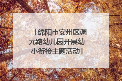 绵阳市安州区调元路幼儿园开展幼小衔接主题活动