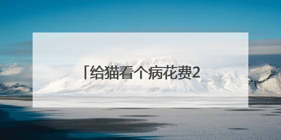 给猫看个病花费2000多元！宠物医疗行业存在乱象，业内人士呼吁→