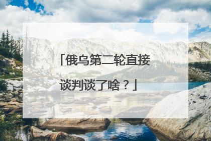 俄乌第二轮直接谈判谈了啥？