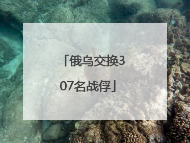 俄乌交换307名战俘