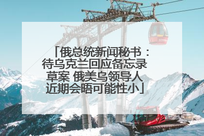 俄总统新闻秘书：待乌克兰回应备忘录草案 俄美乌领导人近期会晤可能性小
