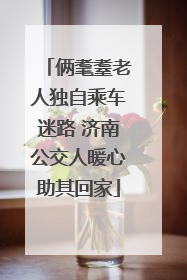 俩耄耋老人独自乘车迷路 济南公交人暖心助其回家