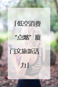 低空消费“点燃”厦门文旅新活力