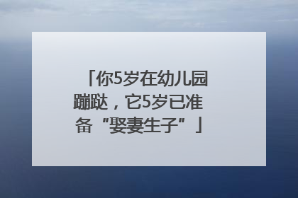 你5岁在幼儿园蹦跶，它5岁已准备“娶妻生子”