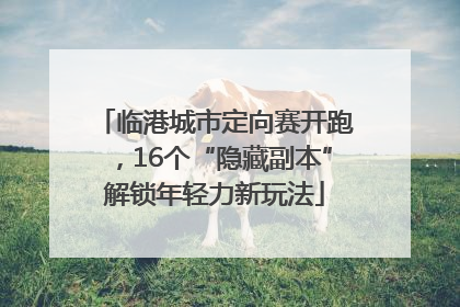 临港城市定向赛开跑，16个“隐藏副本”解锁年轻力新玩法