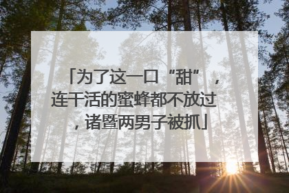 为了这一口“甜”，连干活的蜜蜂都不放过，诸暨两男子被抓
