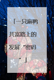 一只麻鸭共富路上的发展“密码”