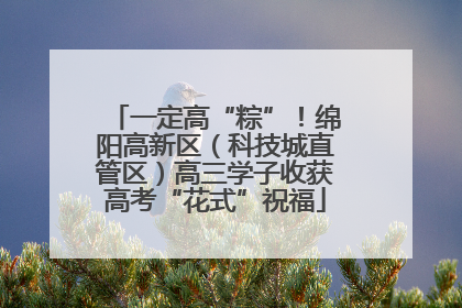 一定高“粽”！绵阳高新区（科技城直管区）高三学子收获高考“花式”祝福