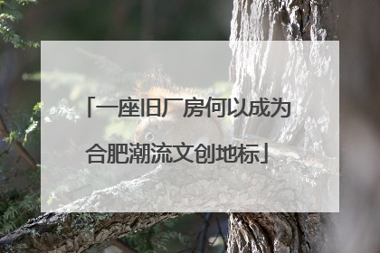 一座旧厂房何以成为合肥潮流文创地标