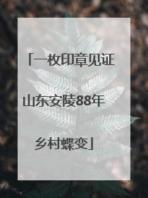 一枚印章见证山东安陵88年乡村蝶变