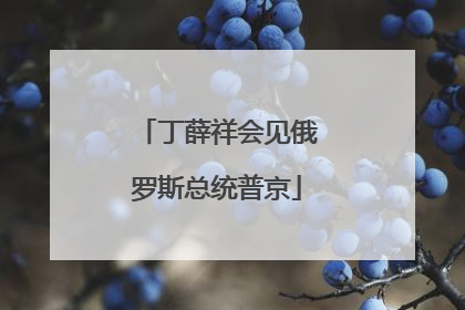 丁薛祥会见俄罗斯总统普京