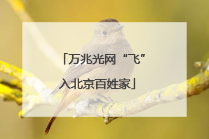 万兆光网“飞”入北京百姓家