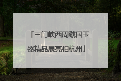 三门峡西周虢国玉器精品展亮相杭州